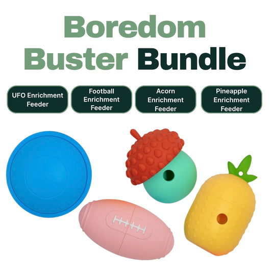 Boredom Buster Bundle