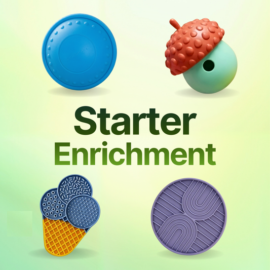 Starter Enrichment Bundle