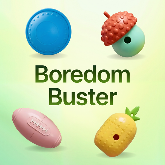 Boredom Buster Bundle