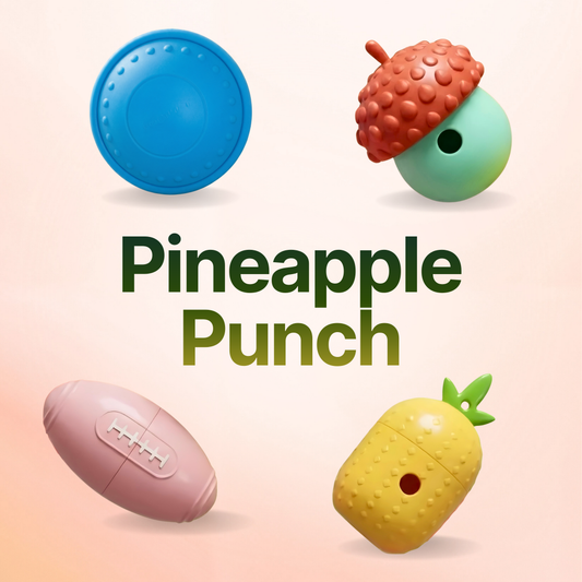 Boredom Buster Bundle