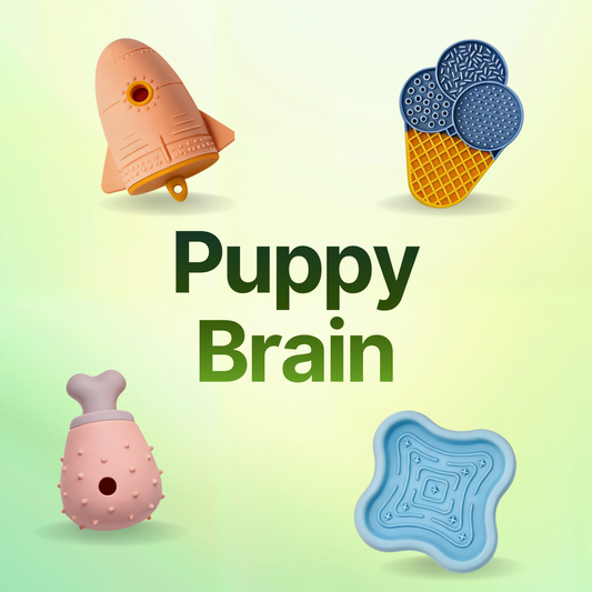 Puppy Brain    Bundle