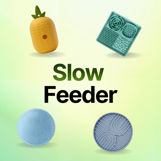 Slow Feeder Bundle