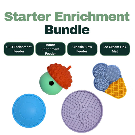 Starter Enrichment Bundle