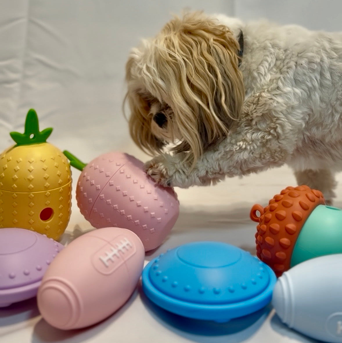 Dog enjoying MindFeeder