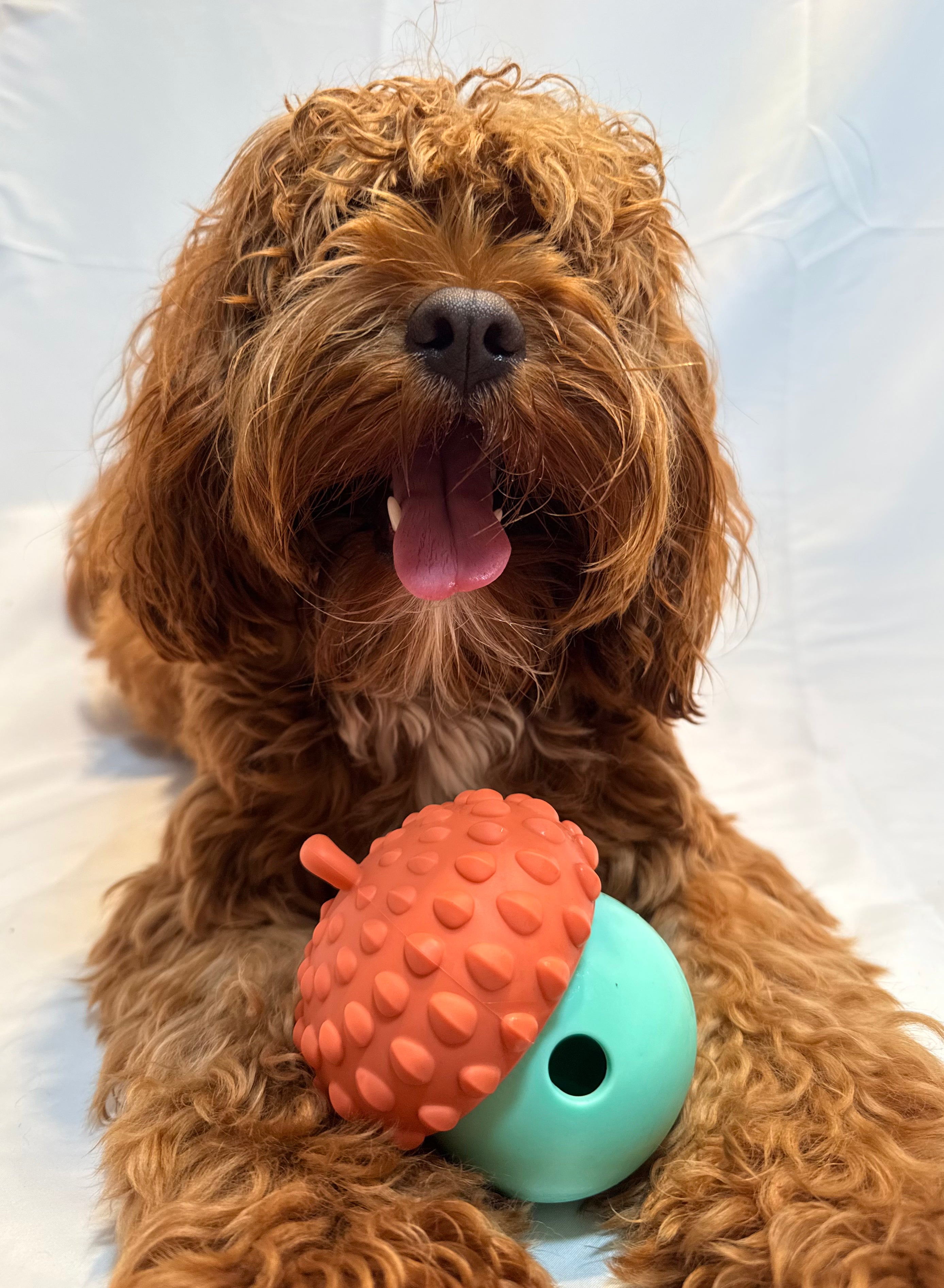 Boredom Buster Bundle