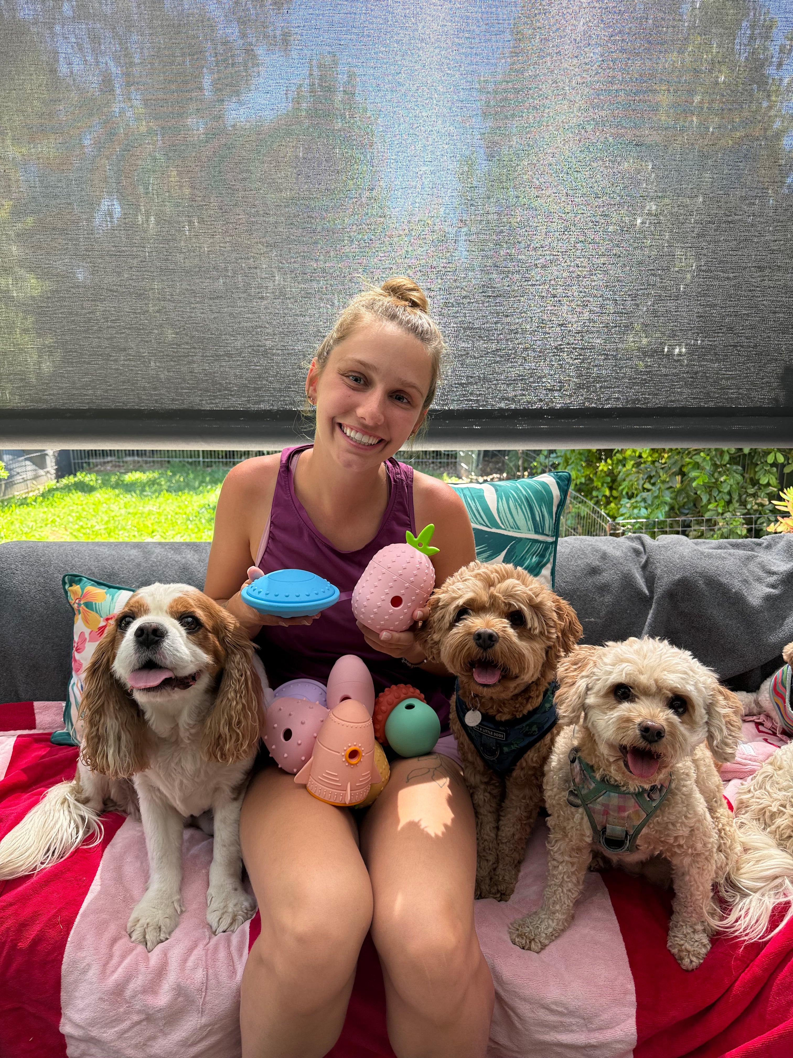 Dog Enrichment Image