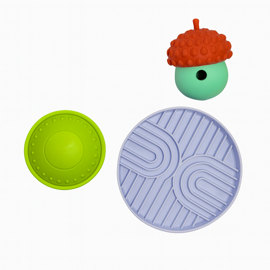 Starter Enrichment Bundle