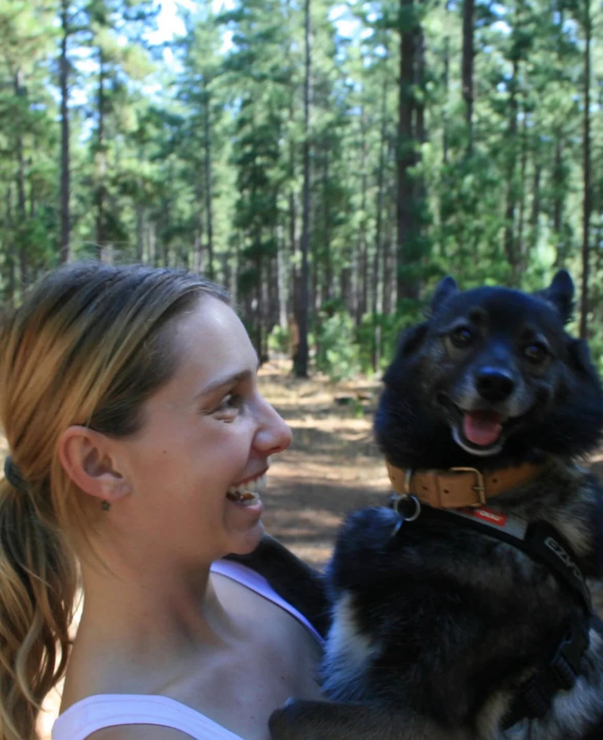 Dog Enrichment Image